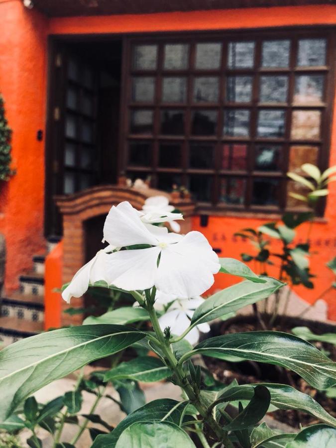 Casa Azul Hotel Guanajuato Kültér fotó